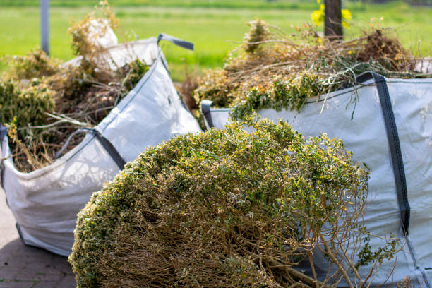Best Dumpster Rental Services  in Livingston, MT